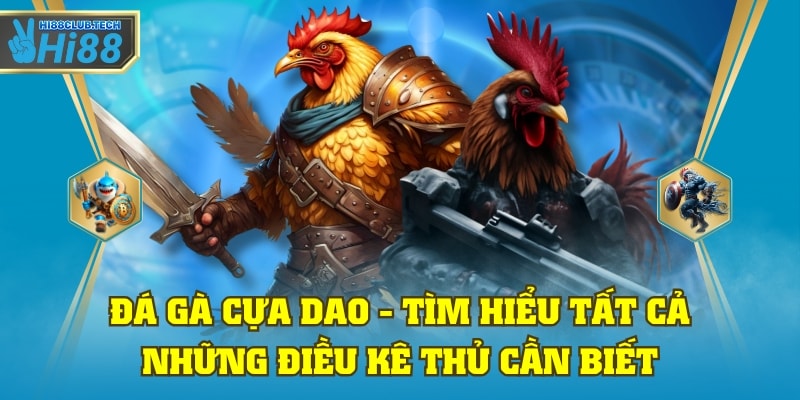 Đá gà cựa dao