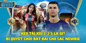 Kèo tài xỉu 2-2.5 là gì
