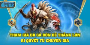 đá gà đòn