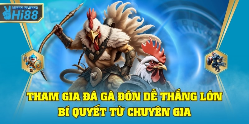 đá gà đòn